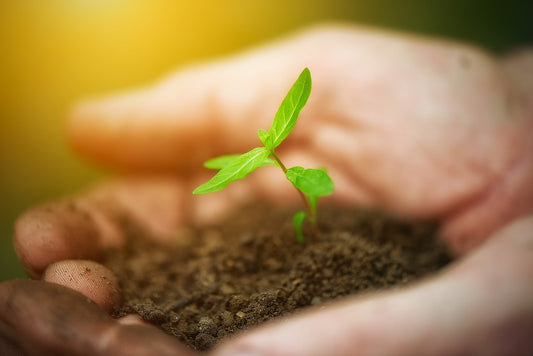 Are OXO-Biodegradable Plastics Environmentally Friendly? - EcoGreenLiving