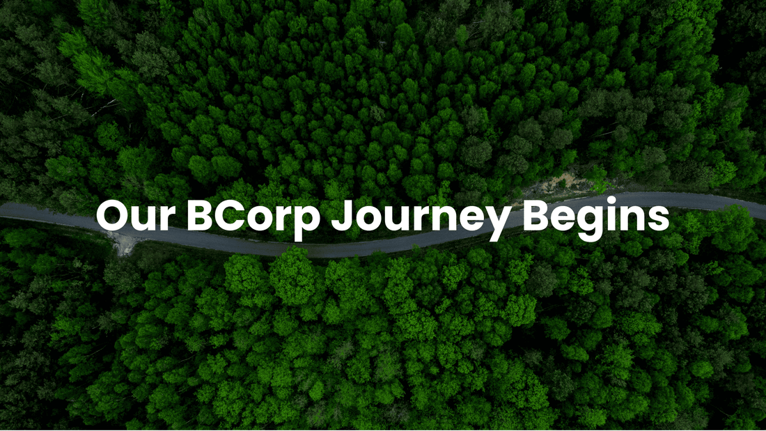 BCorp: The Journey Begins for Eco Green Living - EcoGreenLiving