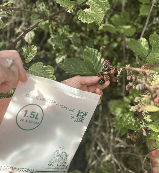 Blackberry Foraging Season UK 2026: Where to Pick and What to Bake - EcoGreenLiving