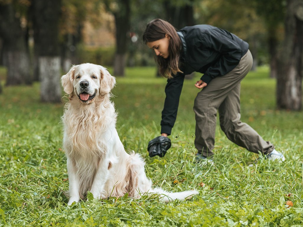 Dog Waste Bags - Eco Green Living