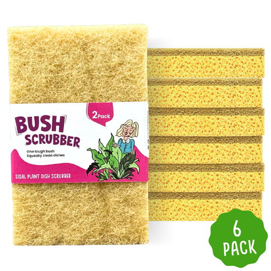 A 6-pack of natural coir scrubber sponges, showing two stacked packs side-by-side on a white background, with a green '6 PACK' badge in the bottom right corner.