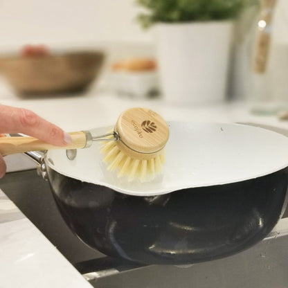 Breast Cancer Awareness Dish Brush with Replaceable Head, 10% to Prevent Breast Cancer - EcoGreenLiving