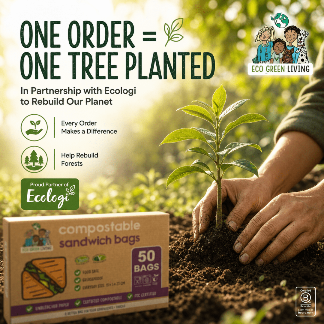 Sandwich Bag 50 bags - EcoGreenLiving