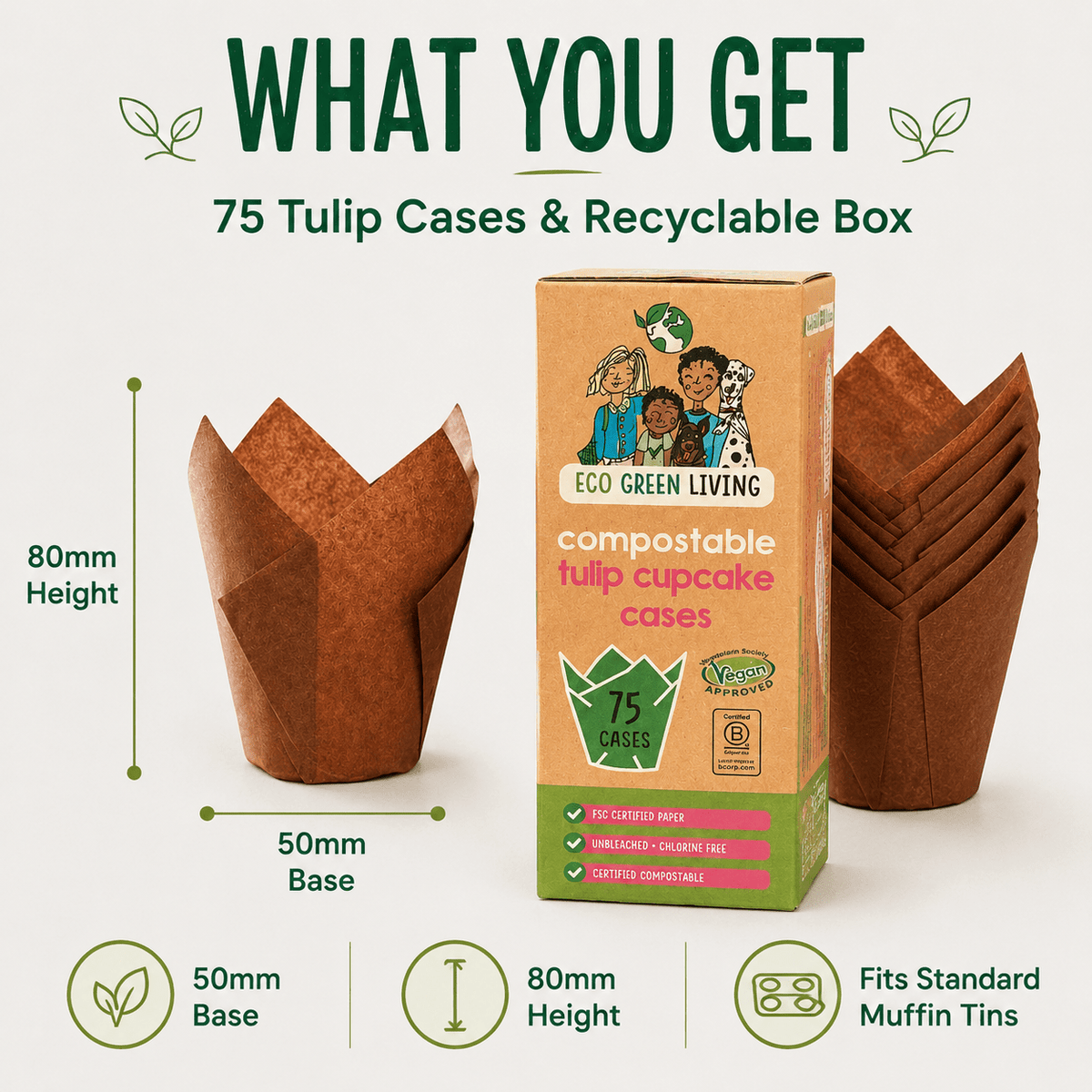 Tulip Cupcake Cases – 75 Pack (4 packs) - EcoGreenLiving